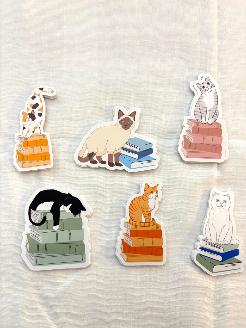Cat on Books Sticker